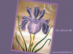quadro-floreale-iris